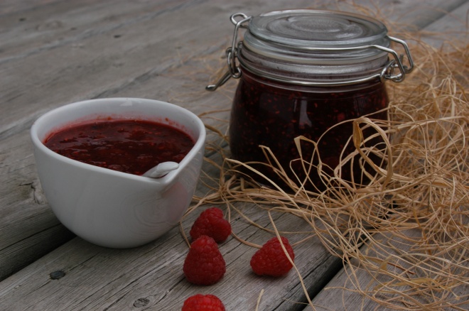 naturopath visited the pyo Sheldon berries farm (Kintore, Ontario) today and made some yummy jam and low-sugar mint-raspberry sorbet london ontario